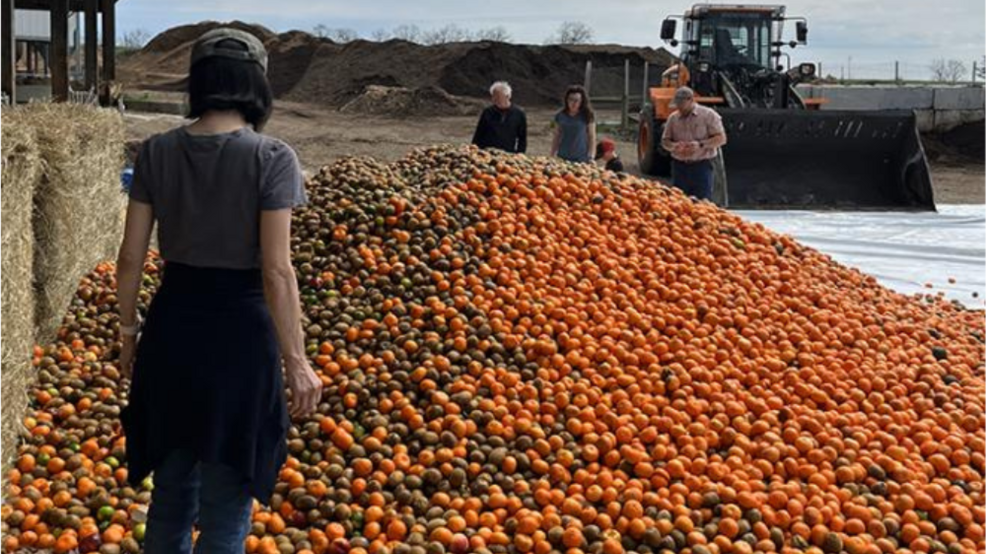 Woman looks on to a pile of oranges