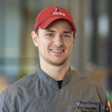 Ron Vespasiani